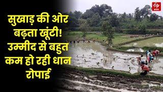 Lack of Rain in Khunti : सुखाड़ की ओर बढ़ता खूंटी! उम्मीद से बहुत कम हो रही धान रोपाई | Jharkhand