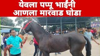 येवला मंगळवार बाजार पप्पू भाई यांनी पुष्कर वरून आणला मारवाड घोडा | yeola horse market.