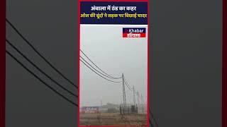 Northern India में लगातार बढ़ रही ठंड,ओस की बूंदें ने सड़क पर बिछाई चादर| Weather Update| Haryana