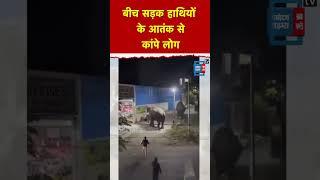 Haridwar के ग्रामीण इलाकों में घुसा हाथियों का झुंड, लोगों में मची अफरा-तफरी