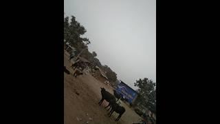 Rajpur Gaon Pani Tanki Bajar