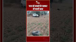 Road Accident: गाय को बचाने के चक्कर में पलटी कार | Anupgarh | Rajasthan News | Sri Ganganagar