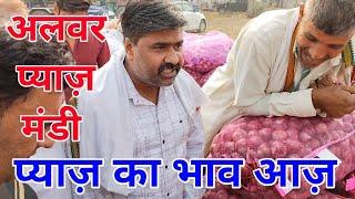 Onion Rate Today Alwar Onion Mandi Rajasthan /Pyaj की लाइव नीलामी आज अलवर राजस्थान