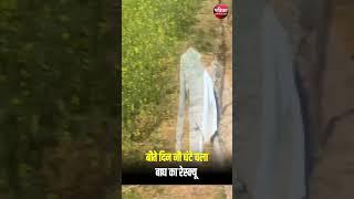 Dausa में Tiger का आतंक, फिर शुरु हुआ रेस्क्यू | Rajasthan Tiger Attack