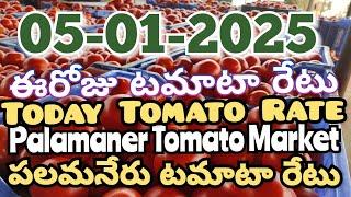 పలమనేరు 🍅🍅🍅టమాటో మార్కెట్ ధరలు 05-01-2025 ||ఈ రోజు టమోటా ధర Palamaner Market||ckgowthamvlogs