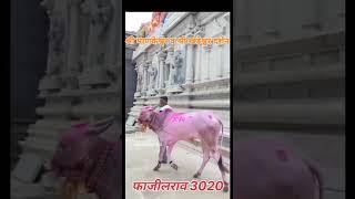 श्री माणकेश्वर व श्री खंडेश्वर दर्शन #shots #ytshorts #मावळ माती