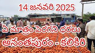 14 జనవరి 2025 // అనంతపురం //కలికిరి //దిగుమతి //🍅🍅🍅టమోటా మార్కెట్ ధరలు