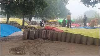 मझगवां पालदेव खरीदी केंद्र। स्थिति और बिगड़ रही है