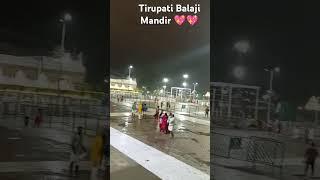 Tirupati Balaji Mandir Andhra Pradesh ❤️#hithitsong #hunumanji ❤️#tirupatibalaji ✨kavicouple501 👍