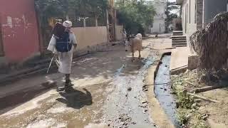 नर्मदा परिक्रमा - शाहगंज - भारकच🌻