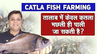 Catla Fish Farming in India- तालाब में केवल कतला मछली ही पाली जा सकती है?- Advance Catla Farming