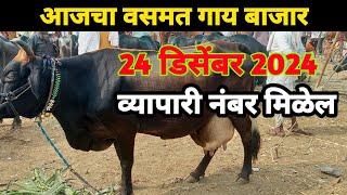 आजचा वसमत गाय बाजार || vsamt cow market in maharashtra || Akash Suryawanshi Vlog