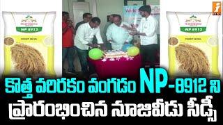 కొత్త వరిరకం వంగడం NP-8912 ని ప్రారంభించిన నూజివీడు సీడ్స్ | NuziveeduSeeds launches NP-8912 | iNews