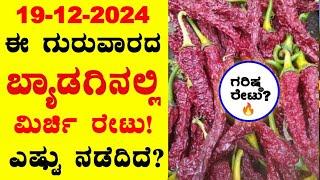 Today Byadigi Market Chilli Rates l 20-12-2024 l ಬ್ಯಾಡಗಿ ಮಿರ್ಚಿ ಗರಿಷ್ಠ ಬೆಲೆ ಎಷ್ಟು? l ‎‎