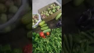 राज कुमार फल एव सब्जी भंडार ढळली चौक शिमला ❤️❤️🙏🏻❤️❤️