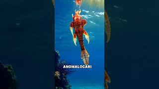 Anomalocaris