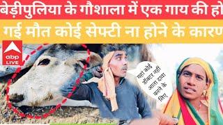 चित्रकूट बेड़ीपुलिया का गौशाला में एक गाय की होगी मृत्यु 😭😭😭//Uttar Pradesh ka video Hindi news