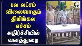 பல லட்சம் விலைபோகும் திமிங்கல எச்சம்.. அதிர்ச்சியில் வனத்துறை.. | Ambergris | Krishnagiri