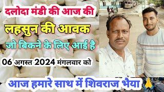 दलोदा मंडी की आज की आवक जो बिकने के लिए आई है 06 अगस्त 2024 मंगलवार को || Garlic arrival tod