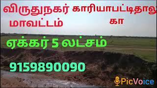 விருதுநகர் மாவட்டம் காரியாபட்டி தாலுகா நல்ல அருமையான விவசாய நிலம்