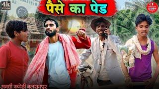 पैसे का पेड़ ||अवधी कॉमेडी बलरामपुर ||मोटू काका पेलाई बाबू बडकाऊ पैहटुआ ||Chaurasiya Film Comedy ?