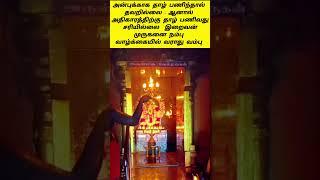 சரி இல்லை #tamilkadavul #tamilkadavulmuruga #tamil #tamilkadavulmurugan #திருச்செந்தூர் முருகன்