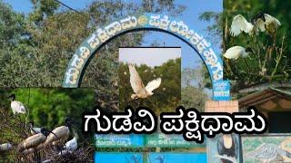 ಗುಡವಿ ಪಕ್ಷಿಧಾಮ ಶಿವಮೊಗ್ಗ | Gudavi Bird Sanctuary Shimoga | 2024 | Kannada