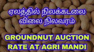 ஏலத்தில் நிலக்கடலை விலை நிலவரம் | Todays Groundnut Auction Rate At Kodumudi | Nilakadalaikaai Vilai