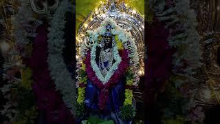 மார்கழி 3 அலங்காரம் 🙏🔱 முத்துமாரியம்மன்... கோவில்பட்டி