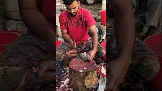 Amazing Goint talapya fish cutting skills