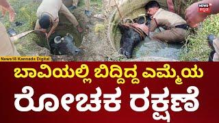 Buffalo Rescue In Gadag | ಬಾವಿಯಲ್ಲಿ ಬಿದ್ದಿದ್ದ ಎಮ್ಮೆ ರಕ್ಷಿಸಿದ ಪೊಲೀಸರು | N18V