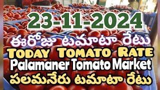 పలమనేరు 🍅🍅🍅టమాటో మార్కెట్ ధరలు 23-11-2024 ||ఈ రోజు టమోటా ధర Palamaner Market||ckgowthamvlogs