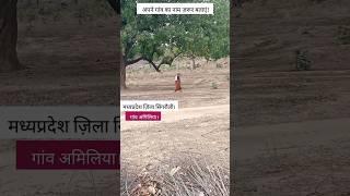 मध्यप्रदेश || खुशहाली || जंगल || सिंगरौली || गांव ||