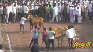 नवरात्र फेस्टिवल २०२४साबळेवाडी बहुळ (ता.खेड)फळीफोड चे मानकरीपियुष शेठ चौधरी & खुशी प्रॉपर्टीज ११:८७