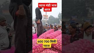 600 700 बिकी प्याज आज | pyaj ka bhav aaj alwar