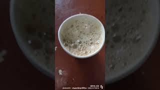 मैने coffee पिया श्रीनाथजी नाथद्वारा ₹20