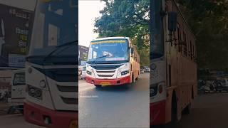 कागजनगर(TS)➡️चंद्रपूर(MH) बस  #incrediblemsrtc Msrtc bus royal entry