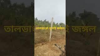 তালডাংরা মুগাই জঙ্গল