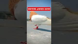 ঝরঝর রহমত ঝড়ে।।NHJAMALI097 জীবনী বক্তা মৌলানা নাসির হোসেন জামালী বীরভূম 9775791242