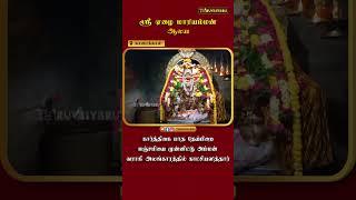 காரைக்கால் ஸ்ரீ ஏழை மாரியம்மன் ஆலய கார்த்திகை மாத தேய்பிறை பஞ்சமி முன்னிட்டு அம்மன் வராகி அலங்காரம்