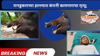 हिंगणा | रानडुकराच्या हल्ल्यात कंपनी कामगाराचा मृत्यू; | GD NEWS NAGPUR