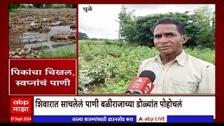 Bhandara Rain Update : भंडाऱ्यात पावसामुळे मोठं नुकसान; मायबाप सरकार धावून कधी येणार?