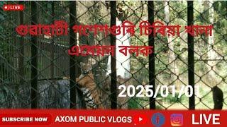 গুৱাহাটী গণেশগুৰি চিৰিয়া খানা এমেয়ন বলক //Guwahati Ganeshguri Amazon vlogs