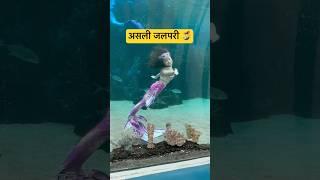 Real Jalpari | असली जलपरी🧜‍♀️ | Jalpari video raigarh