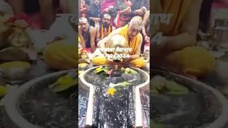 Live darshan 🙏 देवघर भोले बाबा का | baba dham ज्योतिर्लिंग |