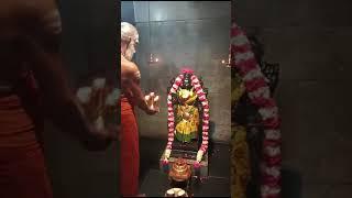 திருமங்கலம் சிதம்பரேஸ்வரர் உடனுறை ஶ்ரீ சிவகாமசுந்தரி அம்மன் இன்றைய தீபாராதனை