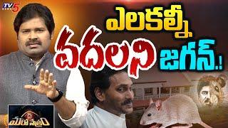 తాడేపల్లి ఎలుక కాస్ట్లీ గురూ | YS jagan | Tadepalli House | Shiva Explained | Maro Netram | TV5 News