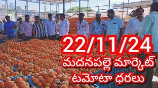 22-11-24 Madanapalle Tomato Market price Today || Today Tomato Market Rate in Madanapalle