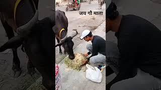 YouTube channel                                       गौ रक्षा दल नांगलोई और गौ रक्षा दल ग्वालियर