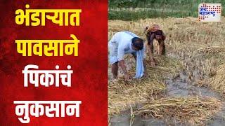 Bhandara Rain | भंडाऱ्यातील तुमसर मोहाडीत जोरदार पाऊस | Marathi News